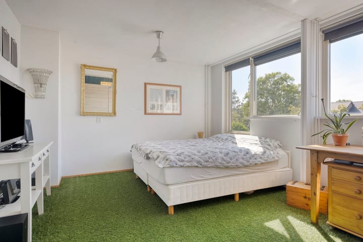 Foto 15 van Libellemeent 92