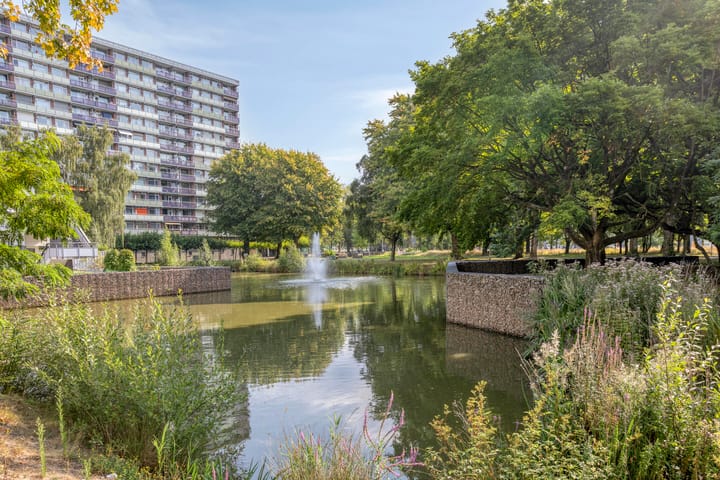 Foto 35 van Corellistraat 39