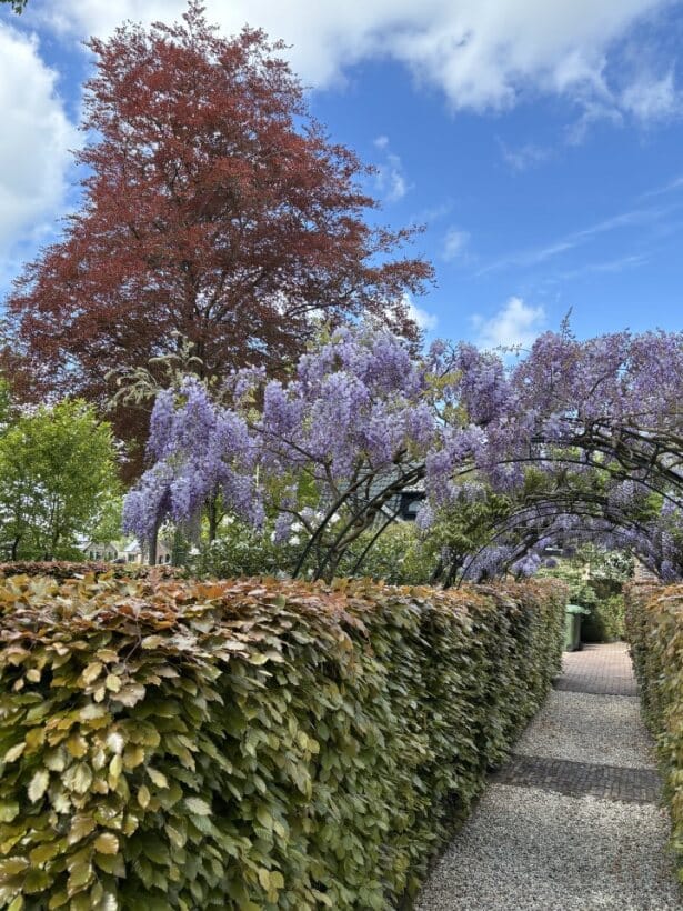 Photo 62 of Dorpsstraat 29