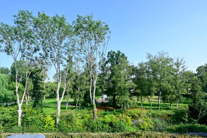 Foto 28 van Scholeksterlaan 82