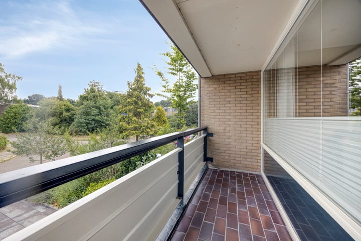 Foto 14 van Tolhuis 2024