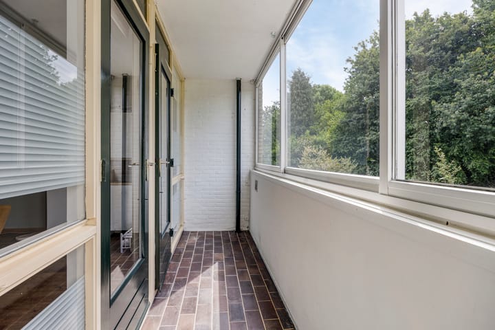 Foto 18 van Tolhuis 2024