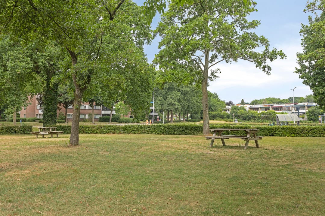 Foto 26 van Tolhuis 2024