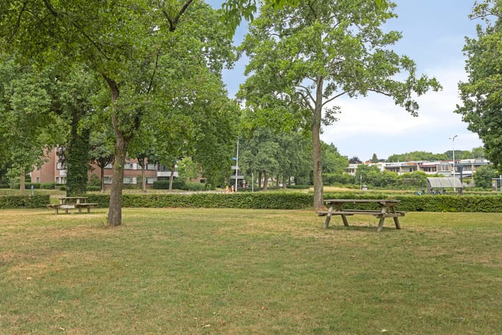 Foto 26 van Tolhuis 2024