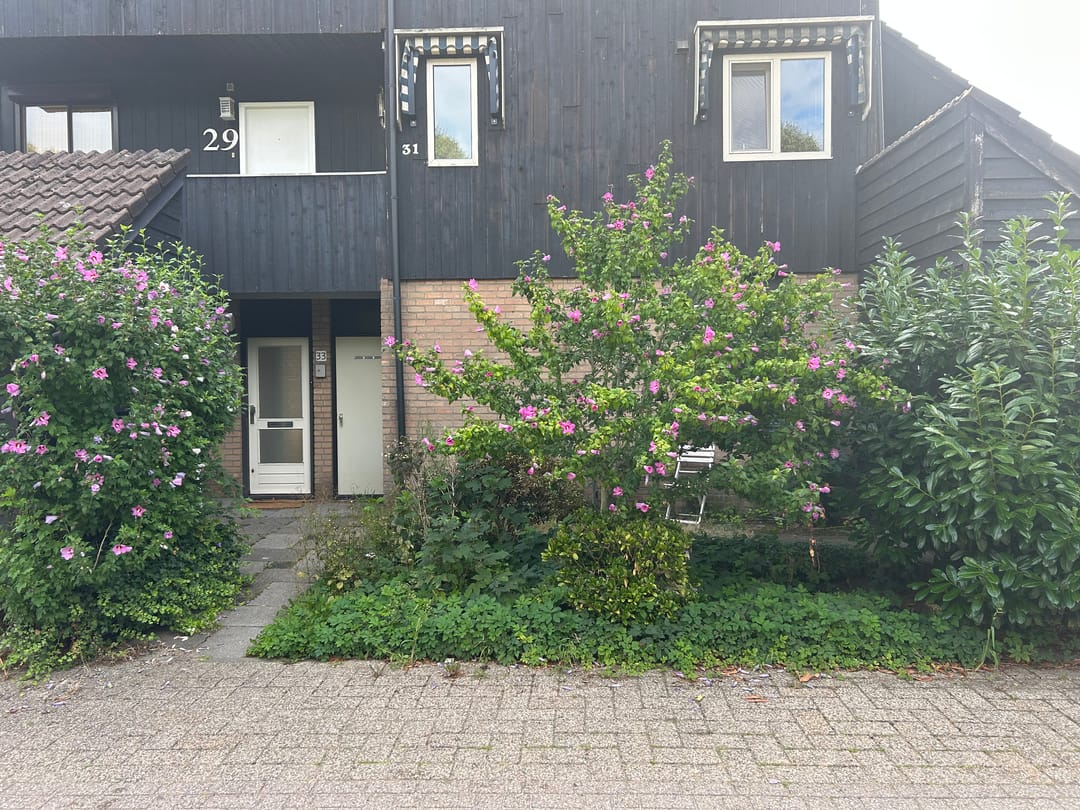 Photo 1 of Groenling 33