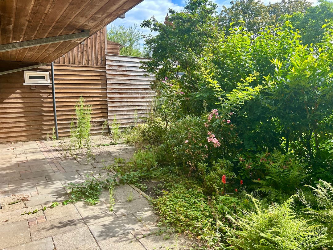 Photo 7 of Groenling 33