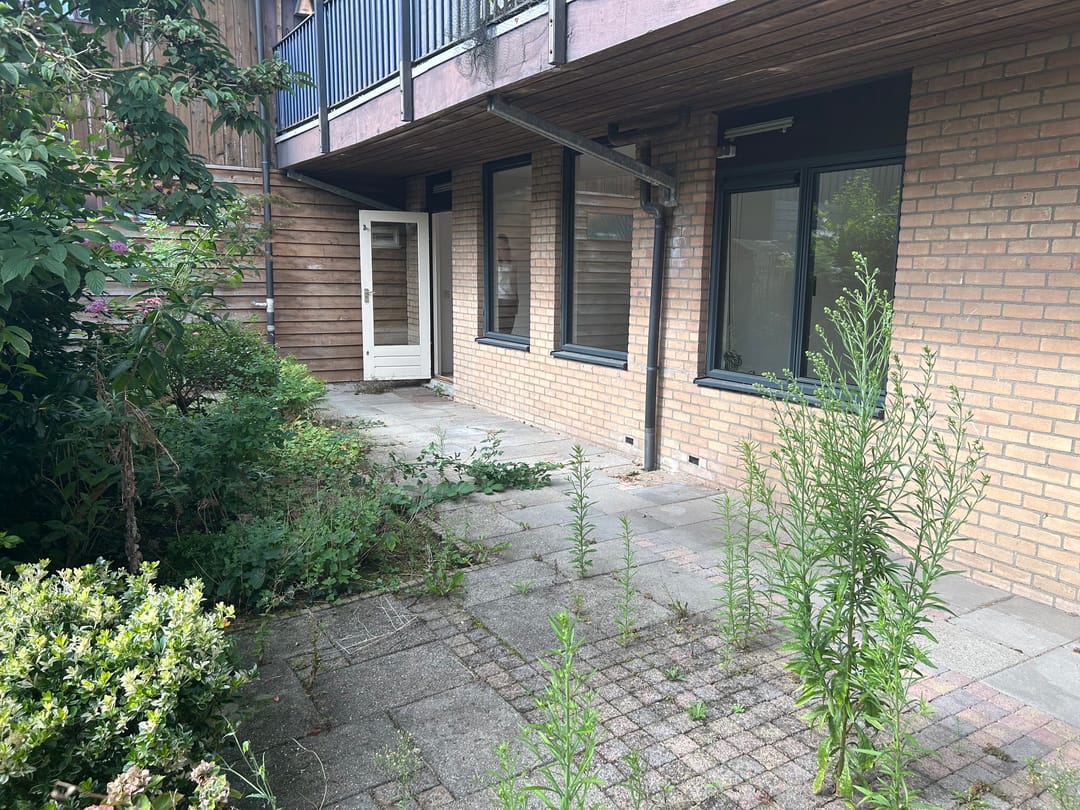 Photo 8 of Groenling 33