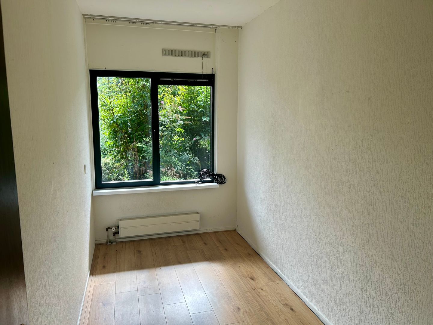 Photo 10 of Groenling 33