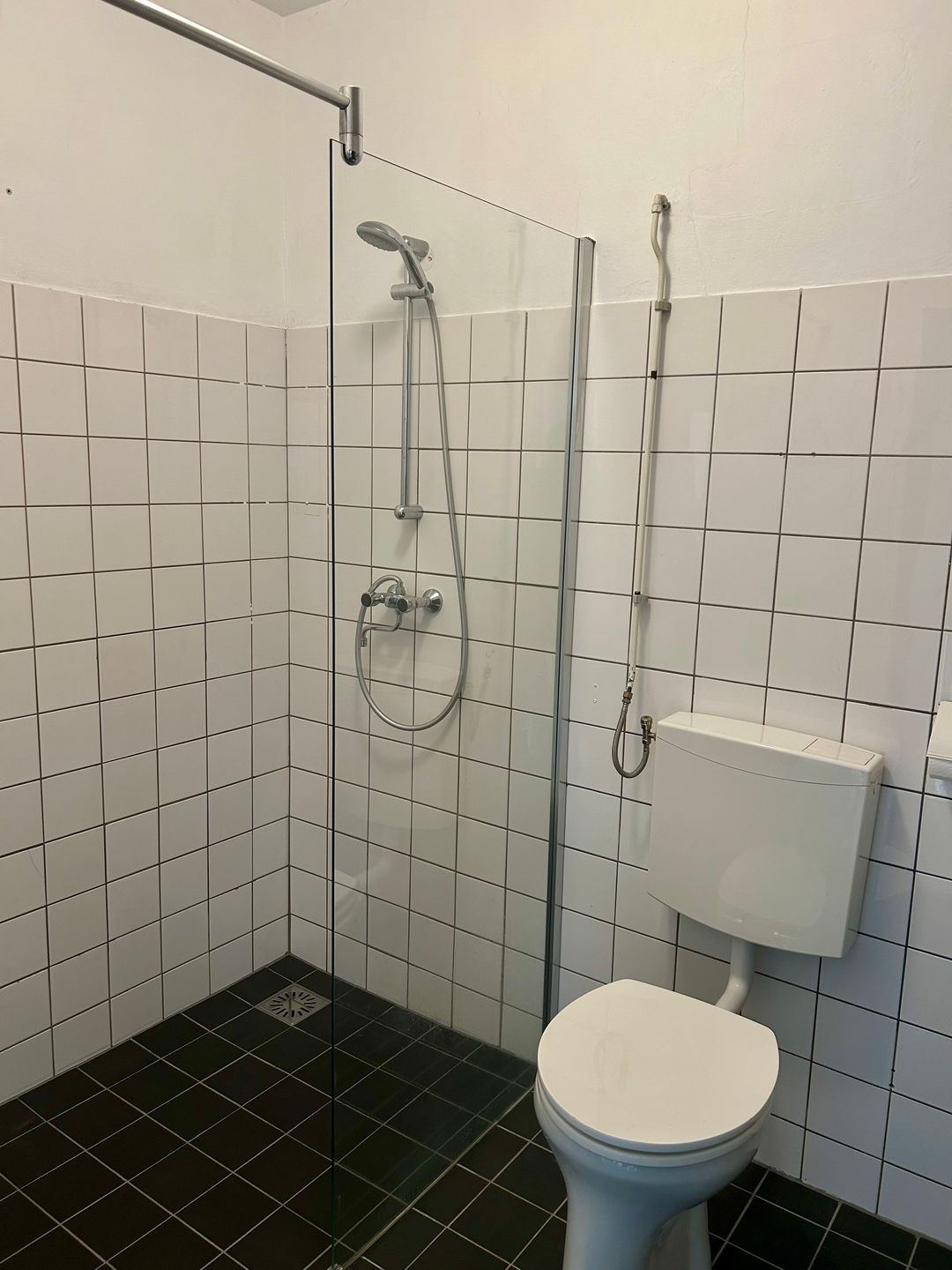 Photo 11 of Groenling 33