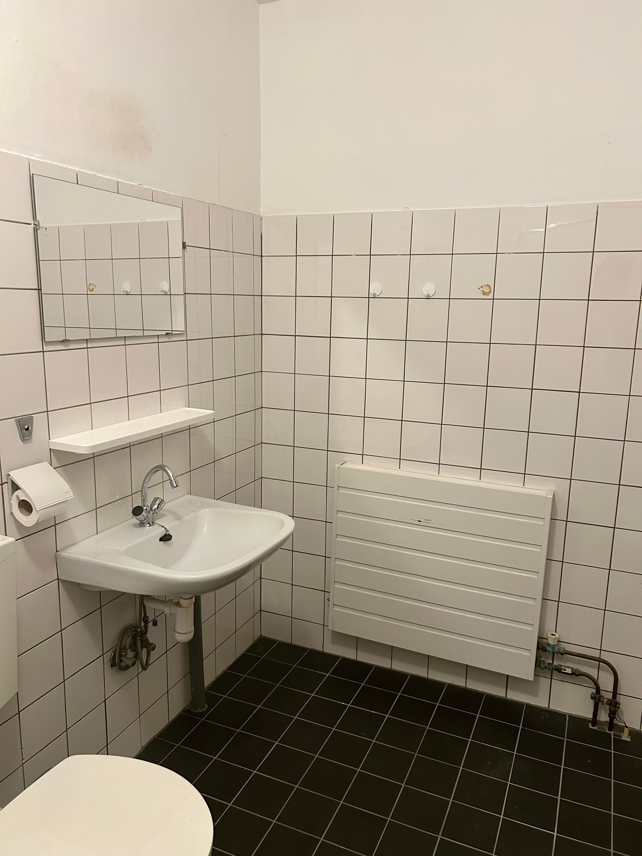 Photo 12 of Groenling 33