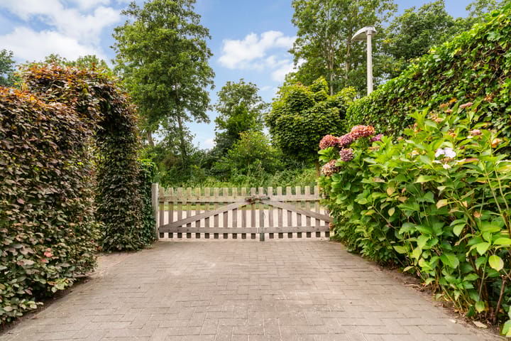 Photo 49 of Doniapark 16