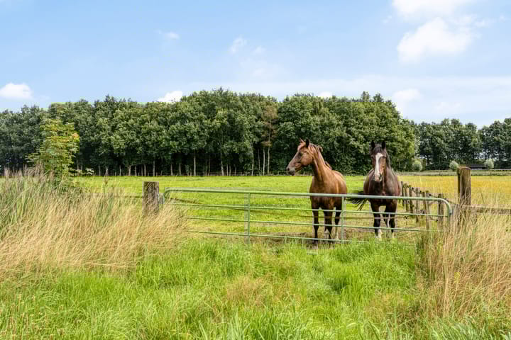 Foto 17 van Schildwolderdijk 99