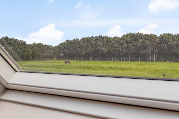 Foto 53 van Schildwolderdijk 99