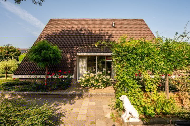 Foto 46 van Het Korhoen 41