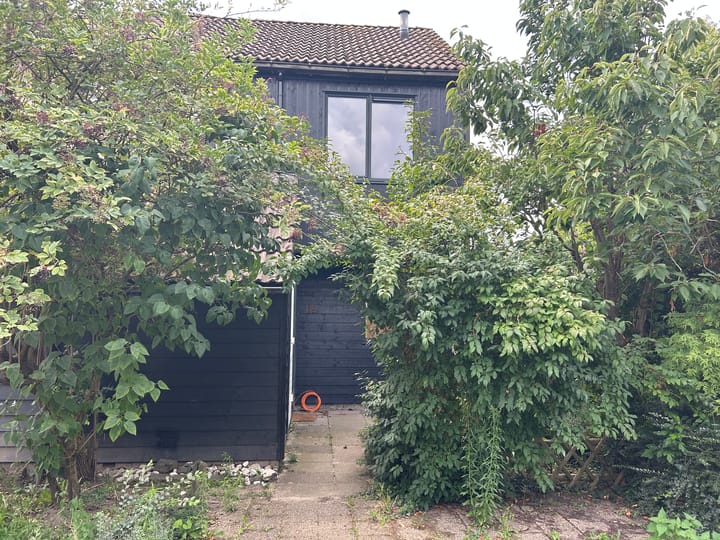 Photo 1 of Houtduif 15