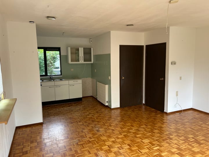 Photo 2 of Houtduif 15