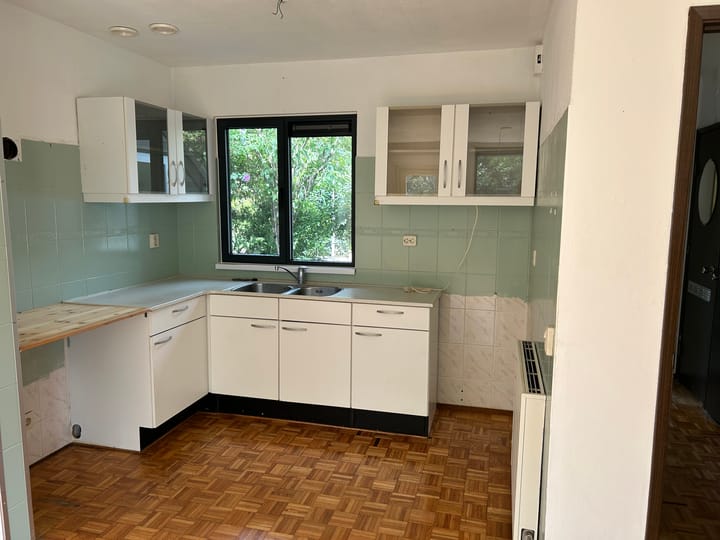 Photo 3 of Houtduif 15