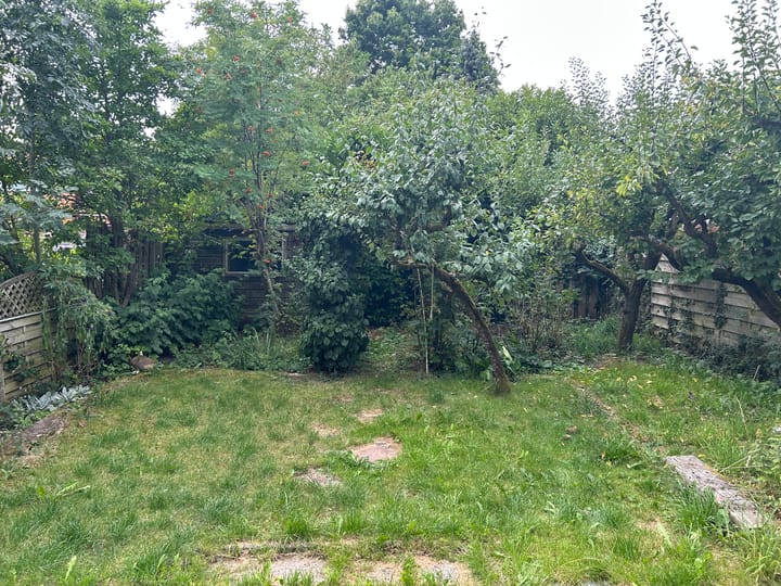 Photo 6 of Houtduif 15