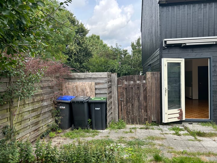 Photo 8 of Houtduif 15