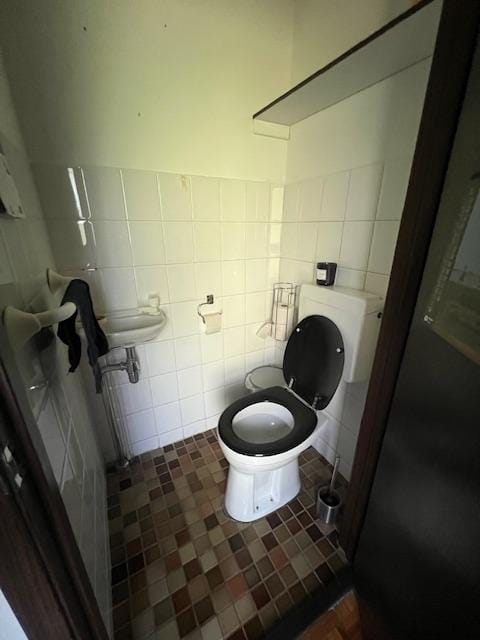 Photo 9 of Houtduif 15