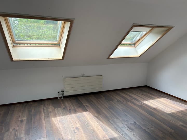 Photo 10 of Houtduif 15