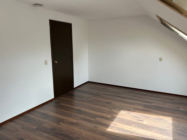 Photo 11 of Houtduif 15