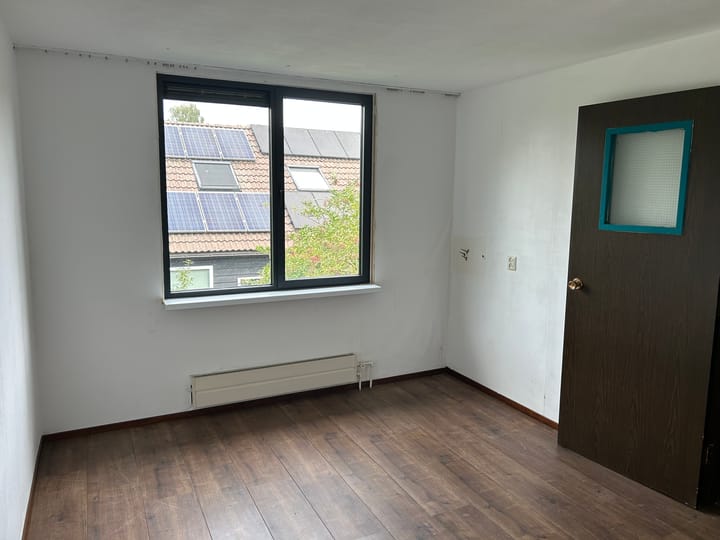 Photo 12 of Houtduif 15