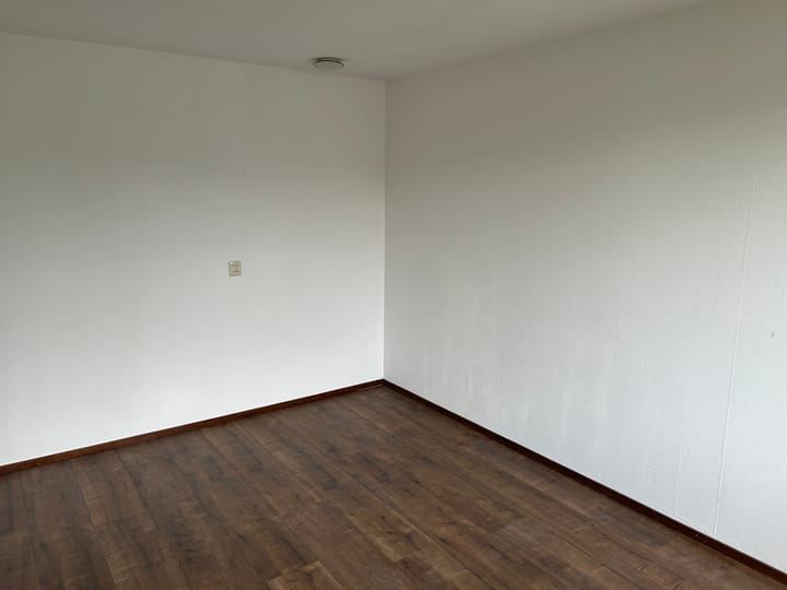 Photo 13 of Houtduif 15