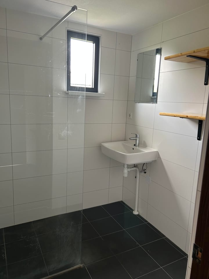 Photo 15 of Houtduif 15