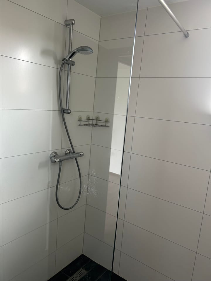 Photo 14 of Houtduif 15