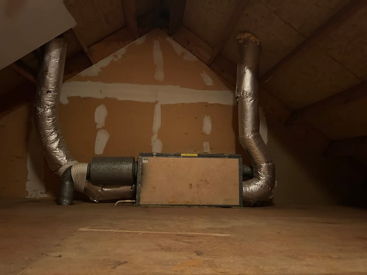 Photo 16 of Houtduif 15