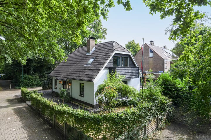 Foto 1 van Aartseveen 3