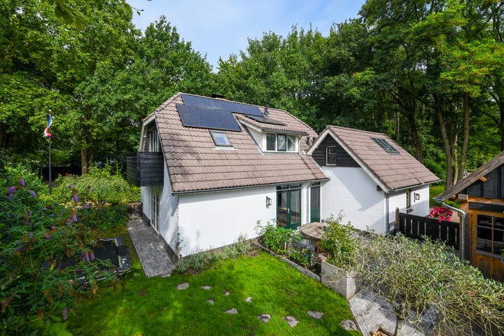 Foto 36 van Aartseveen 3