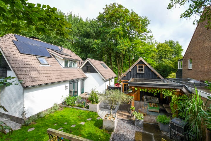 Foto 37 van Aartseveen 3