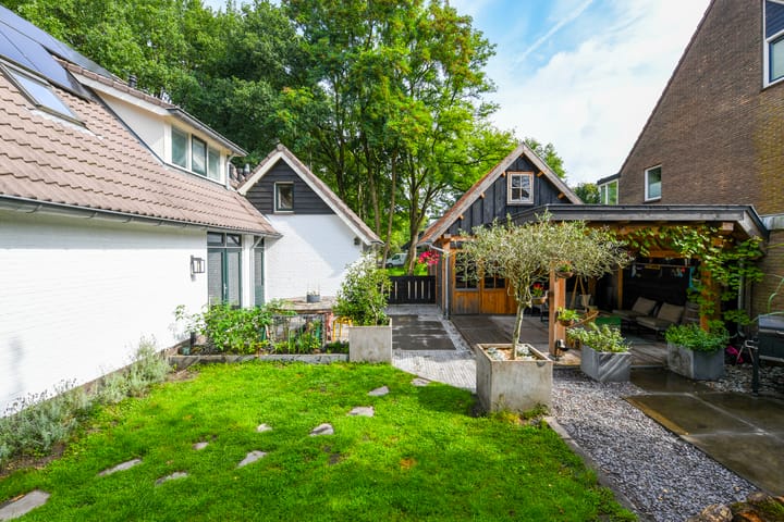 Foto 38 van Aartseveen 3