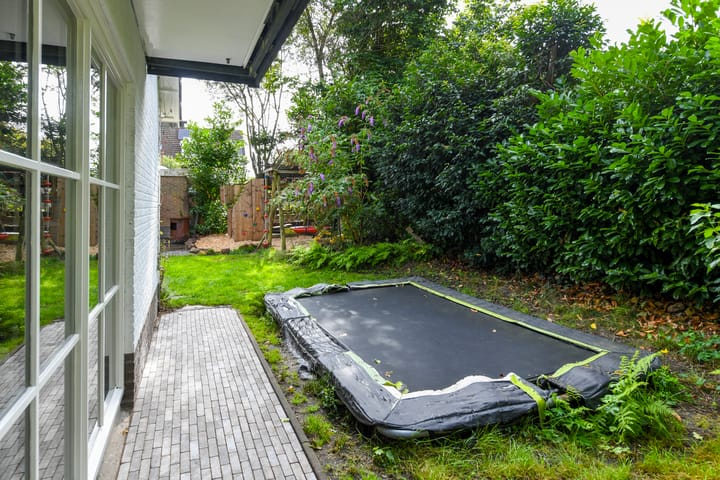 Foto 41 van Aartseveen 3