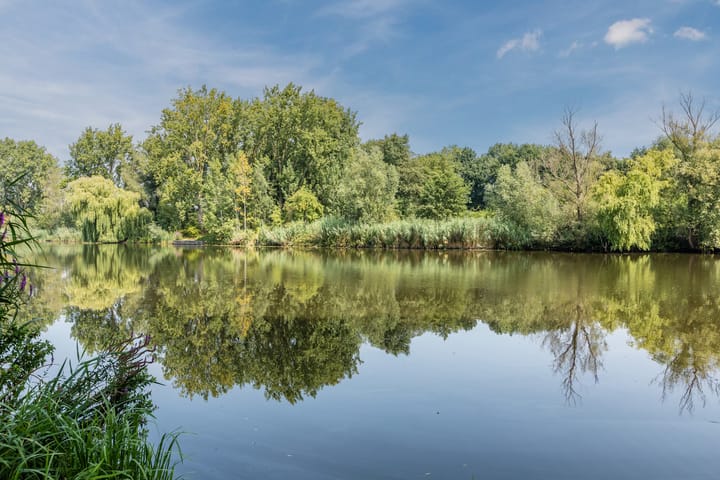 Foto 36 van Hoogmeer 2439