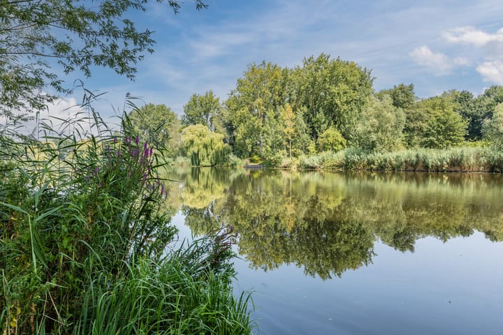 Foto 37 van Hoogmeer 2439