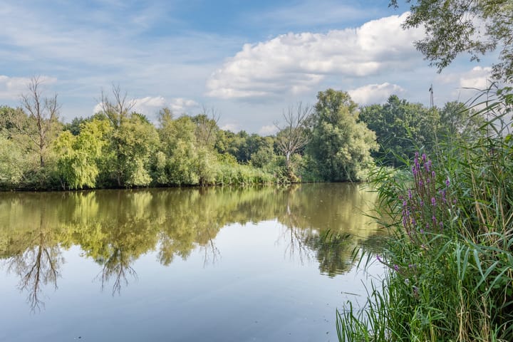 Foto 38 van Hoogmeer 2439