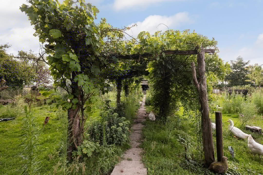 Foto 28 van Hendrikus Zomerweg 9