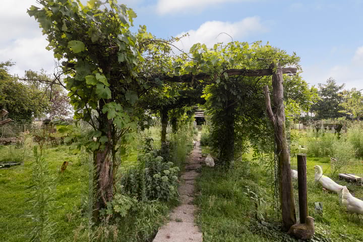 Foto 28 van Hendrikus Zomerweg 9