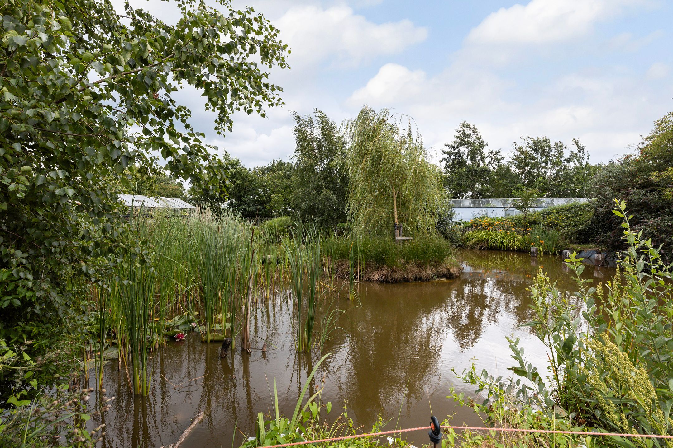 Foto 33 van Hendrikus Zomerweg 9