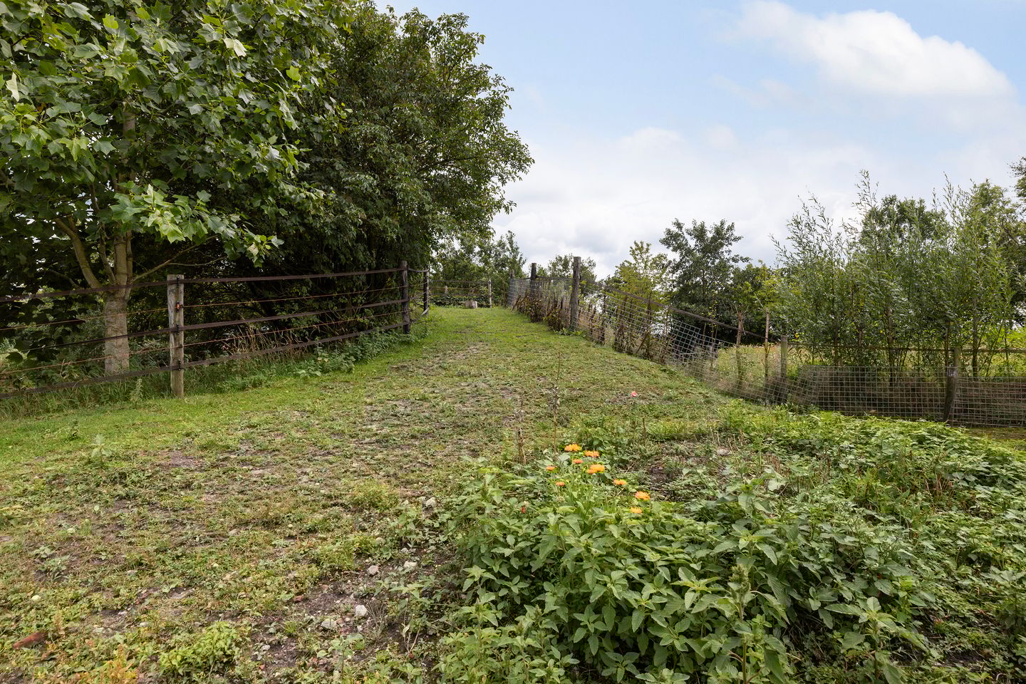 Foto 35 van Hendrikus Zomerweg 9