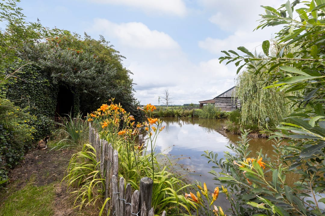 Foto 38 van Hendrikus Zomerweg 9