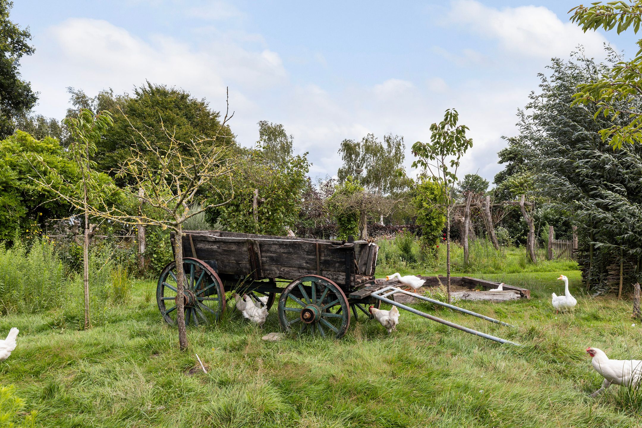 Foto 42 van Hendrikus Zomerweg 9