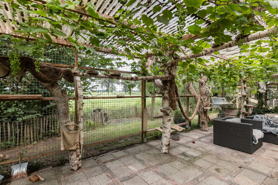 Foto 46 van Hendrikus Zomerweg 9