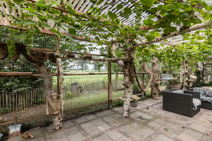 Foto 46 van Hendrikus Zomerweg 9