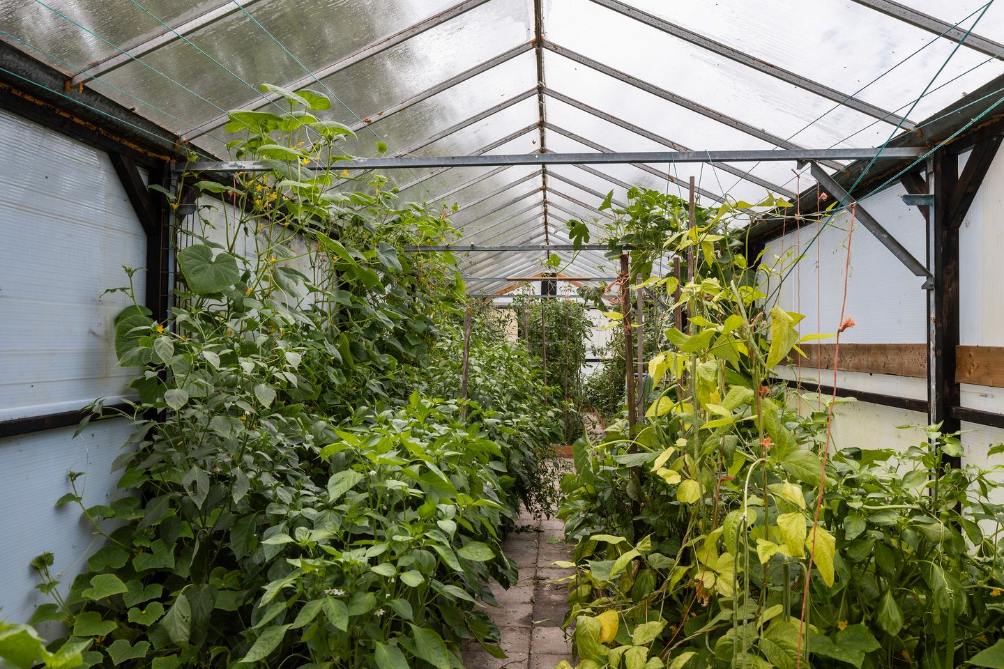 Foto 50 van Hendrikus Zomerweg 9