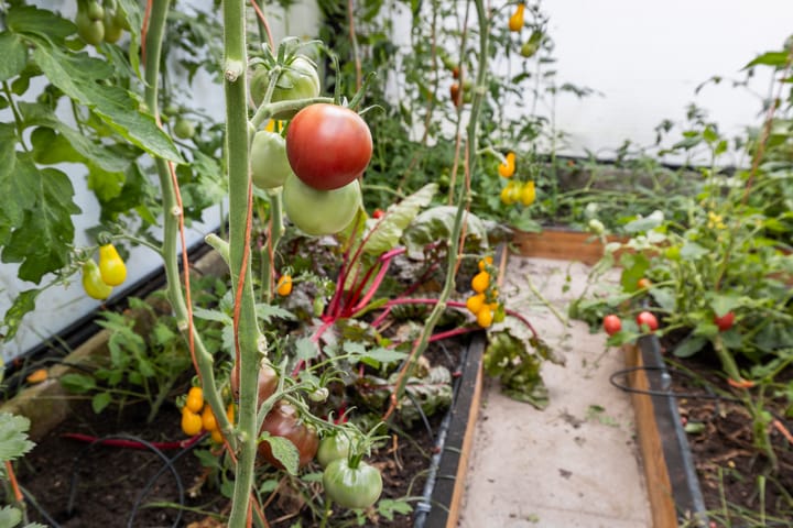 Foto 51 van Hendrikus Zomerweg 9