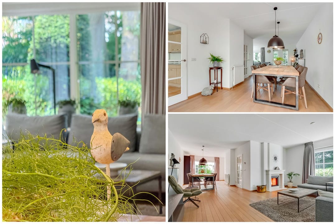 Foto 11 van Schothorsterlaan 98